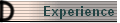 Experience